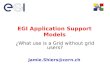 EGI Application Support Models ¿What use is a Grid without grid users? Jamie.Shiers@cern.ch