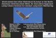 Short-eared Owl (Asio flammeus) Surveys in the North American Intermountain West: An Innovative Approach using Citizen Science to Conduct Long-term Monitoring