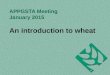 APPGSTA Meeting January 2015 An introduction to wheat