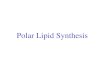 Polar Lipid Synthesis. Lipids: Role in Signaling