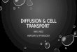 DIFFUSION & CELL TRANSPORT MRS. PAEZ ANATOMY & PHYSIOLOGY