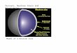 Pulsars, Neutron Stars and Black Holes Model of a Neutron Star