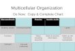 Multicellular Organization Do Now: Copy & Complete Chart: MacromoleculeCarbohydratesProteinsNucleic AcidsLipids Building blocksmonosaccharidesAmino acidsnucleotidesLipids