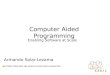 Computer Aided Programming Enabling Software at Scale Armando Solar-Lezama