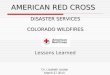AMERICAN RED CROSS DISASTER SERVICES COLORADO WILDFIRES Lessons Learned Dr. Lizabeth Jordan March 27,2013
