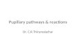 Pupillary pathways & reactions Dr. C.R.Thirumalachar
