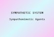 SYMPATHETIC SYSTEM Sympathomimetic Agents. SYMPATHETIC SYSTEM  Mostly activated during stressful situations  Actions can be identified by reactions