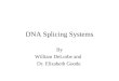 DNA Splicing Systems By William DeLorbe and Dr. Elizabeth Goode