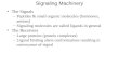Signaling Machinery The Signals –Peptides & small organic molecules (hormones, amines) –Signaling molecules are called ligands in general The Receivers