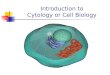 Introduction to Cytology or Cell Biology How do we observe cells? Light microscope Visible light passes through object Lens magnify image Electron microscope