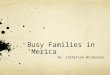Busy Families in ‘Merica By: Catherine Wilbourne