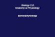 Biology 211 Anatomy & Physiology I Electrophysiology