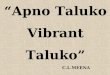 C.L.MEENA “Apno Taluko Vibrant Taluko”. To empower Taluka Leadership – create a Taluka team at par with district team – Risk taking capacity.Development