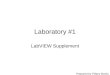 Laboratory #1 LabVIEW Supplement Prepared by Tiffany Morris