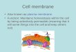 Cell membrane Also known as plasma membrane. Function: Maintains homeostasis within the cell by being selectively permeable (meaning that it will some