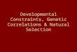 Developmental Constraints, Genetic Correlations & Natural Selection