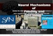 Neural Mechanisms of Feeding and Swallowing Neural Mechanisms of Feeding and Swallowing October 16, 2015T 8:30AM – 6:00PM T Rehabilitation Institute of