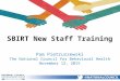 SBIRT New Staff Training Pam Pietruszewski The National Council for Behavioral Health November 12, 2015