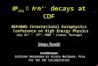 HEP2005 Lisboa - July 21 st, 2005Diego Tonelli, CDF - Pisa 1/16 B 0 (s)  h + h’ - decays at CDF HEP2005 International Europhysics Conference on High Energy