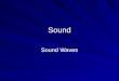 Sound Sound Waves. The Production of Sound Waves Sound waves are caused by vibrations –The vibrating object has regions of air with relatively high density