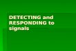 DETECTING and RESPONDING to signals. RECEPTORS Receptors: Specialised structures capable of responding to specific stimuli by initiating signals in the