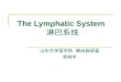 The Lymphatic System 淋巴系统 山东大学医学院 解剖教研室 李振华. The Lymphatic System 淋巴系统