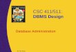 CSC 411/511: DBMS Design Dr. Nan Wang 1 Database Administration