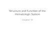 Structure and Function of the Hematologic System Chapter 19