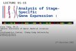 Analysis of Stage-Specific Gene Expression : Expression Sequence Tags Petrus Tang, Ph.D. Graduate Institute of Basic Medical Sciences and Bioinformatics