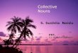 Collective Nouns S. Sushila Naidu PRT, K.V. NTPC Ramagundam