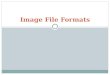Image File Formats. What is an Image File Format? Image file formats are standard way of organizing and storing of image files. Image files are composed