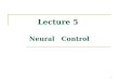 1 Lecture 5 Neural Control. 2 History Early stages  1943 McCulloch-Pitts: neuron, origins  1948 Wiener: cybernatics  1949 Hebb: learning rule  1958