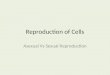 Reproduction of Cells Asexual Vs Sexual Reproduction
