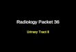 Radiology Packet 36 Urinary Tract II. 3-year old Shih Tzu “Maggie” Hx: Presented because of straining to urinate