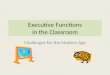 Executive Functions in the Classroom Challenges for the Modern Age