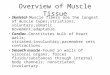 Overview of Muscle Tissue Skeletal-Muscle fibers are the longest of muscle types;striations; voluntary;somatic movement;adaptable. Cardiac-Constitutes
