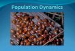 Population Dynamics Population dynamics - the study of the long term changes in population sizes and the factors that cause a change Current focus is