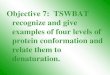 Objective 7: TSWBAT recognize and give examples of four levels of protein conformation and relate them to denaturation