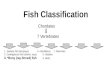 Fish Classification Chordates 7 Vertebrates 1. Jawless fish (lampreys)4. Amphibians7. Mammals 2. Cartilaginous fish (sharks, rays)5. Reptiles 3. *Bony