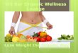W8 Bar Wellness Lounge Lose weight the Organic Way