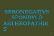 SERONEGATIVE SPONDYLO ARTHROPATHIES 1. This term is applied to a group of inflammatory joint diseases 1-Ankylosing spondylitis 2-Reactive arthritis, including