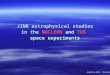 JINR astrophysical studies JINR astrophysical studies in the NUCLEON and TUS space experiments Alushta-2013. Tkachev