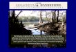 Apalachicola Riverkeeper The Mission of Apalachicola Riverkeeper is to provide stewardship and advocacy for the protection of the Apalachicola River and