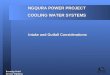 Prestedge Retief Dresner Wijnberg NGQURA POWER PROJECT COOLING WATER SYSTEMS Intake and Outfall Considerations