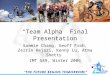 “Team Alpha” Final Presentation Sammie Chang, Geoff Froh, Zerrin Hejazi, Kenny Lu, Atma Shetty IMT 589, Winter 2006