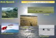 Arctic Geology and Geophysics: Arctic Fisheries/Ocean Sciences: Arctic Cultural Studies: Arctic Engineering: Arctic Biology: Arctic Research: