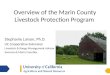 Overview of the Marin County Livestock Protection Program Stephanie Larson, Ph.D. UC Cooperative Extension Livestock & Range Management Advisor Sonoma