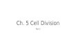 Ch. 5 Cell Division Part 3. Mitosis vs. Meiosis  Mitosis  Results in the production of two genetically identical DIPLOID cells  Daughter cells have