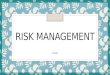 RISK MANAGEMENT YULVI. Introduction Time Quality Cost Project Constraints Success Introduction