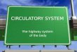 CIRCULATORY SYSTEM The highway system of the body